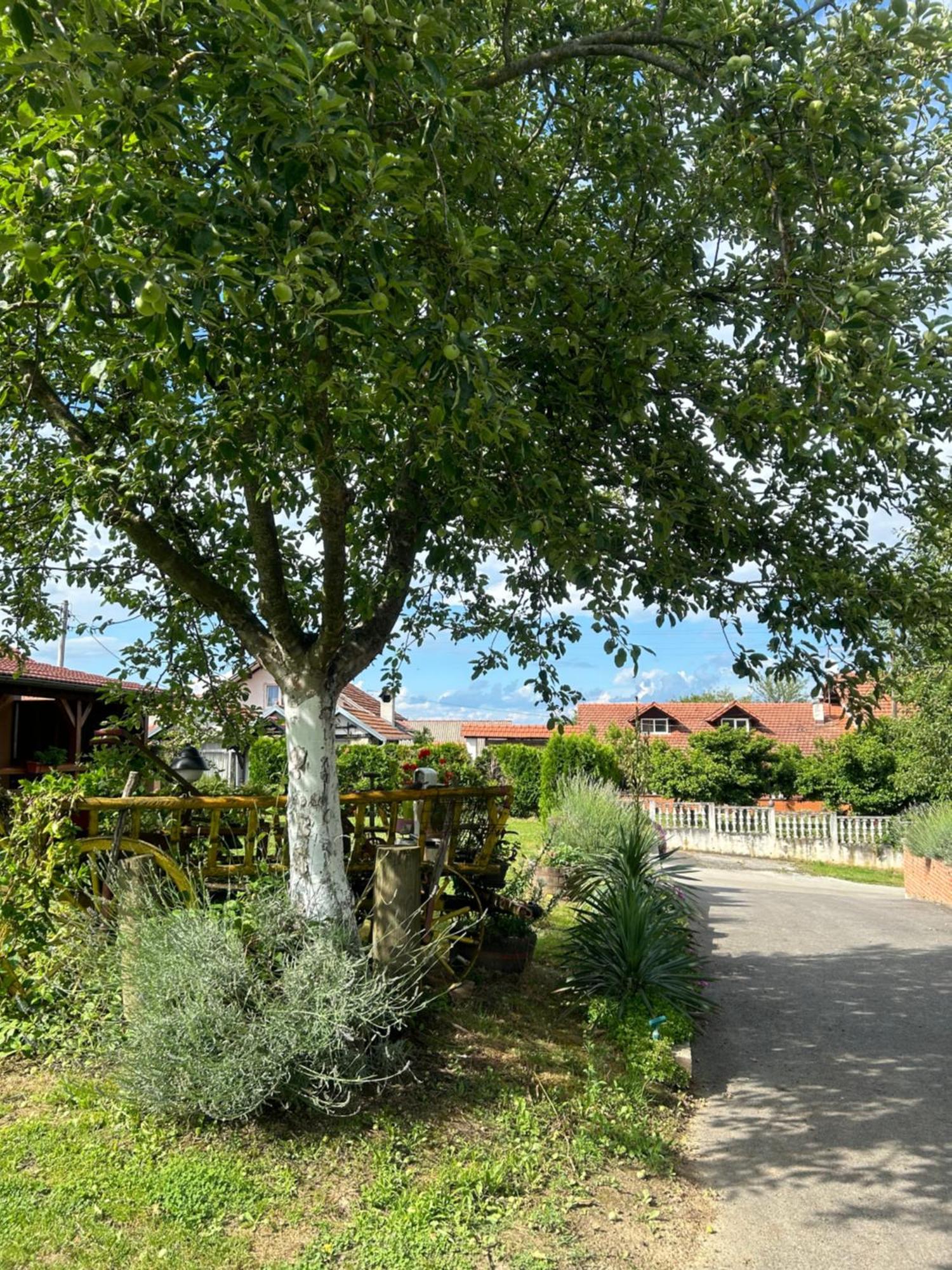 Camping Lukac Kutina Exteriér fotografie