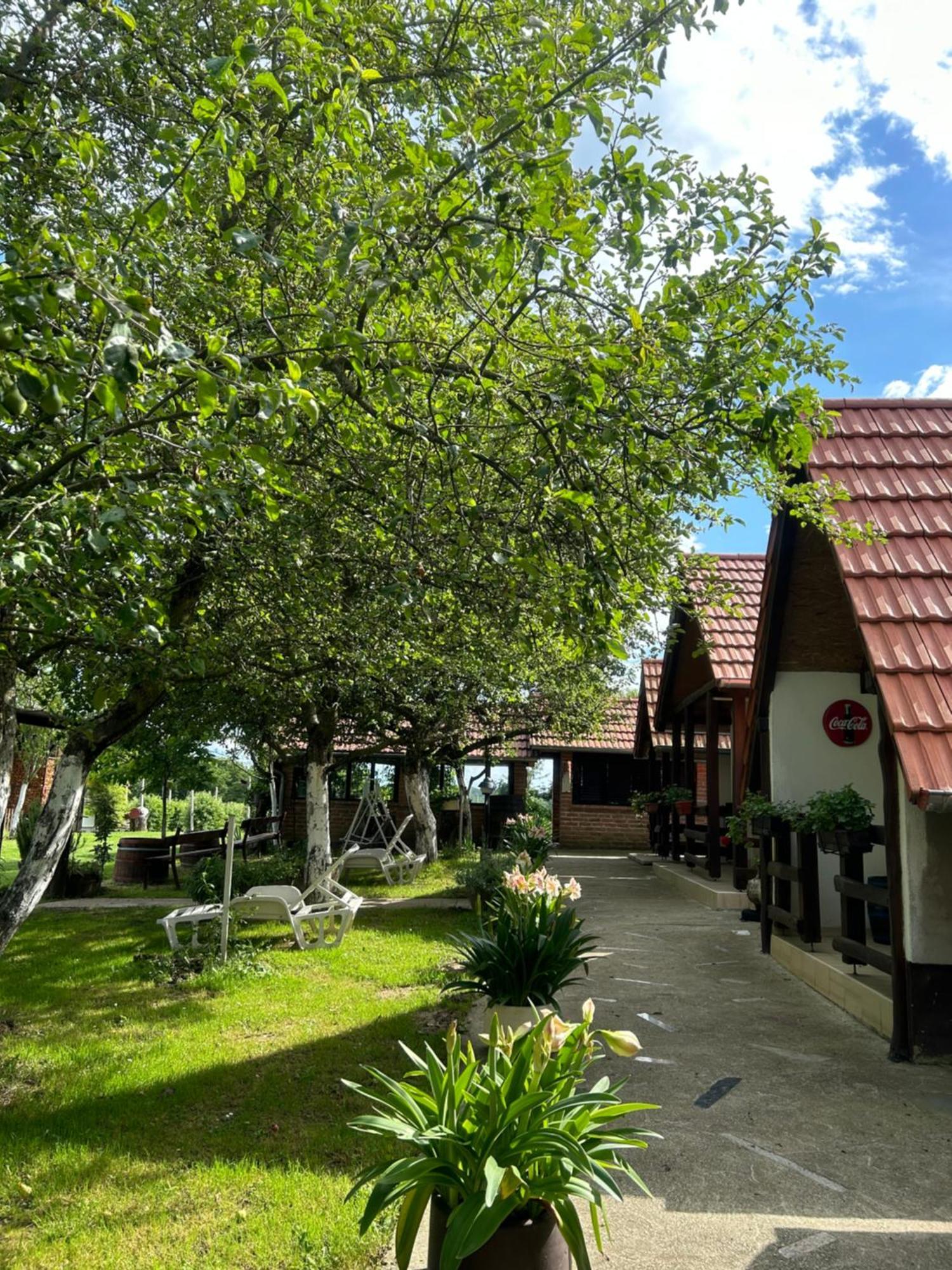 Camping Lukac Kutina Exteriér fotografie